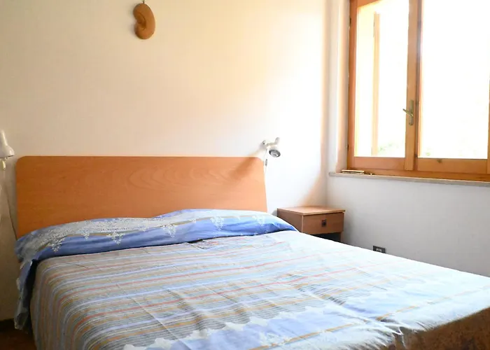 N303 - Comodo Con Giardino A *